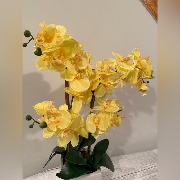 Yellow Orchid Arrangement in White Planter - Picture 4 of 9